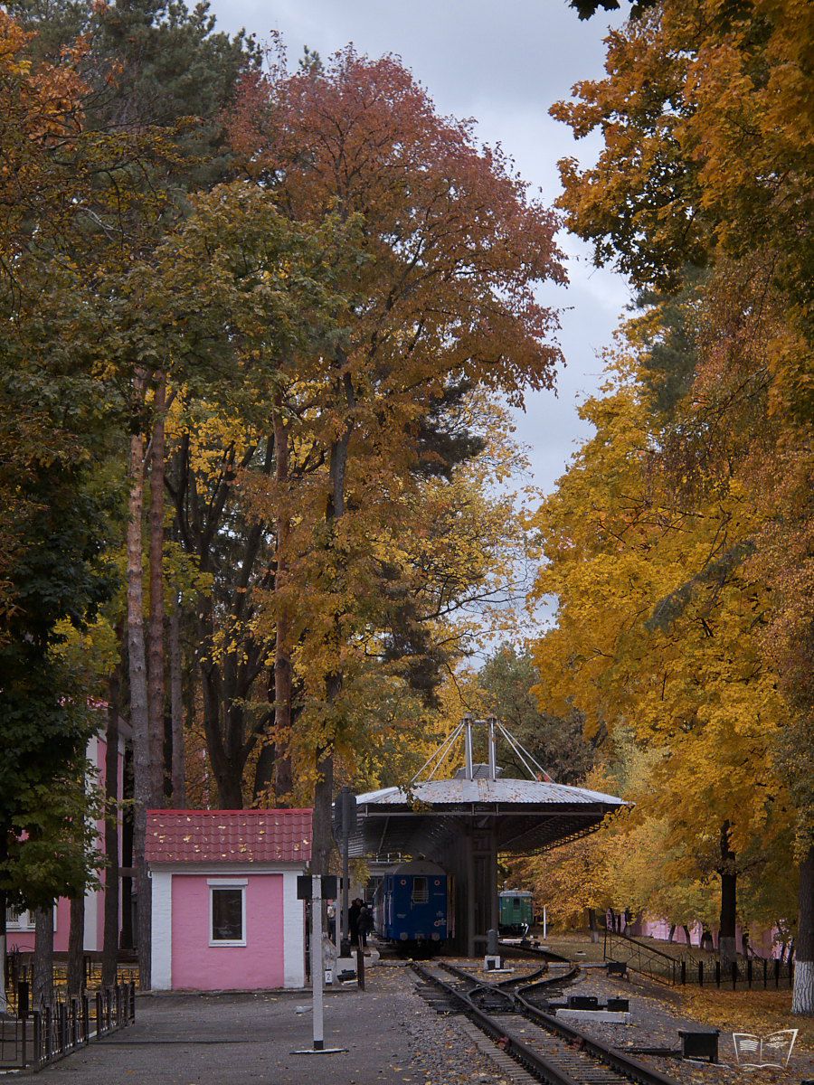 Вид на ст. Парк