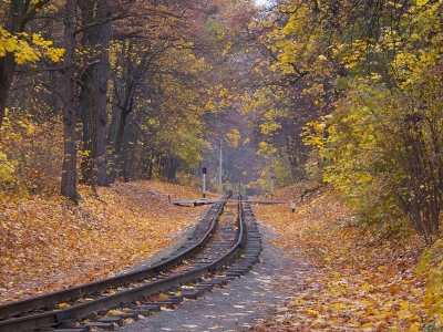 Вид в чётную сторону на перегон Парк - Лесопарк